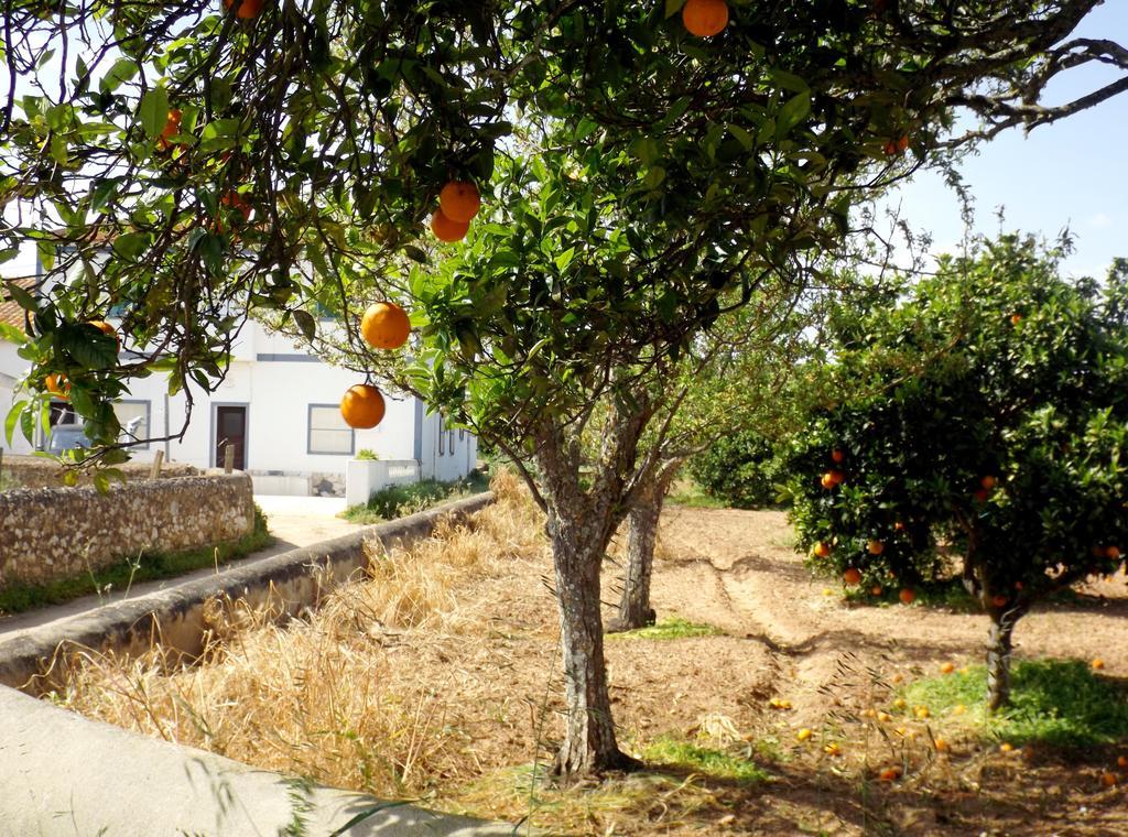Casas Do Pomar Villa Lagos Ruang foto