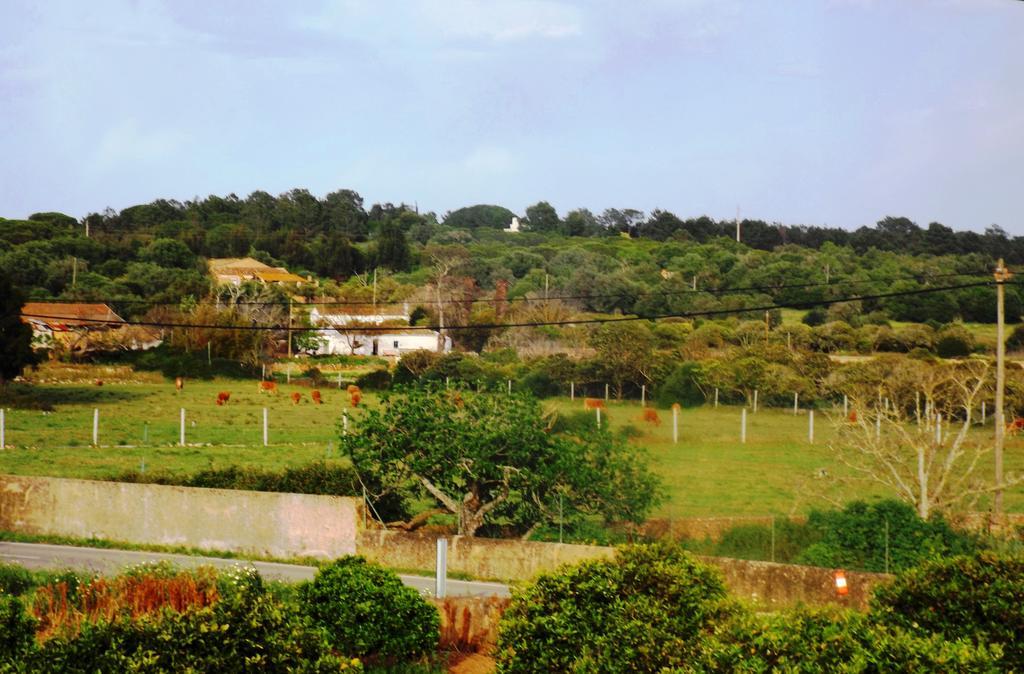 Casas Do Pomar Villa Lagos Ruang foto